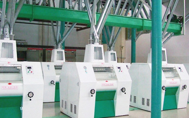 100噸蕎麥粉生產(chǎn)線